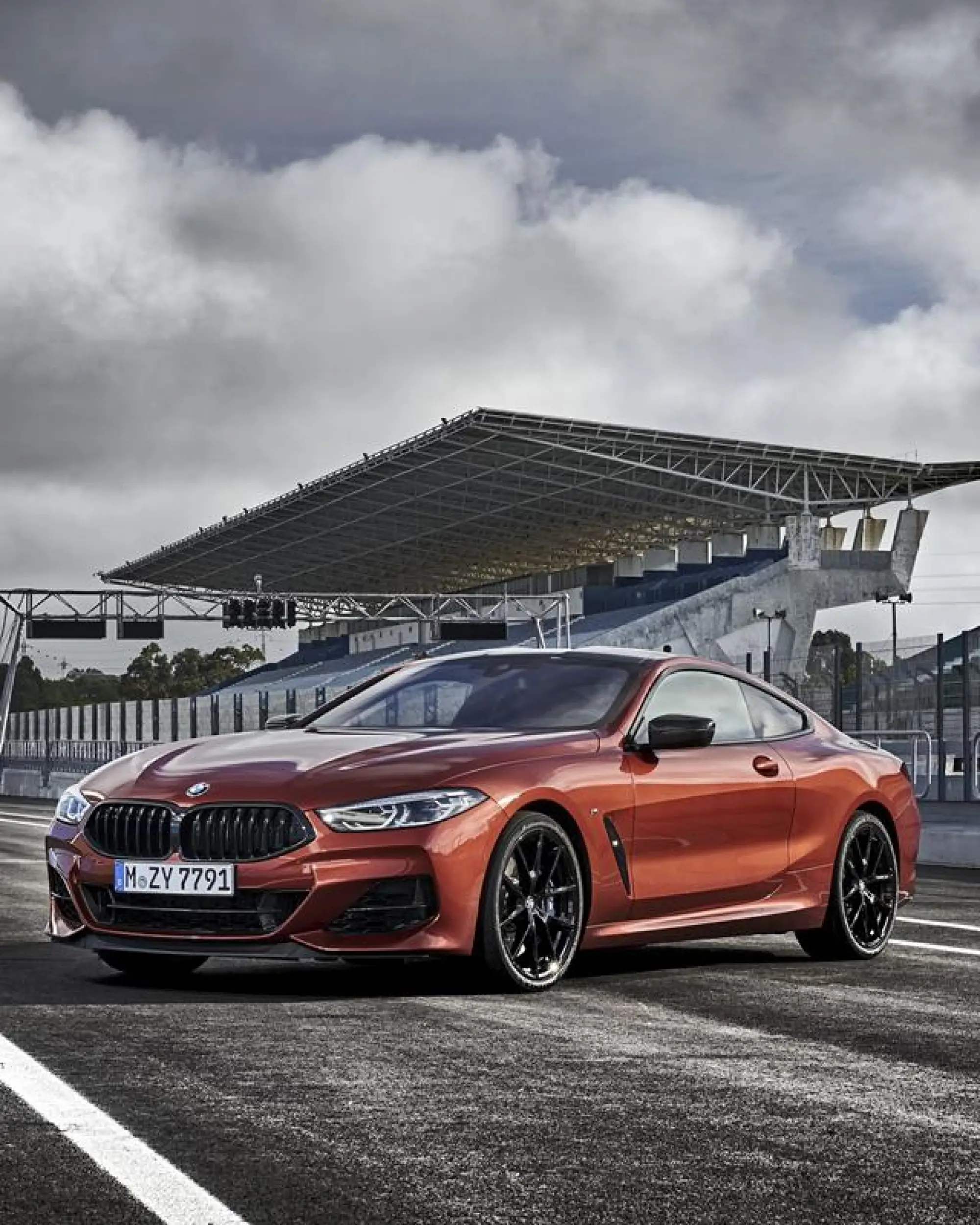 BMW Serie 8 Coupe - Foto ufficiali - 130