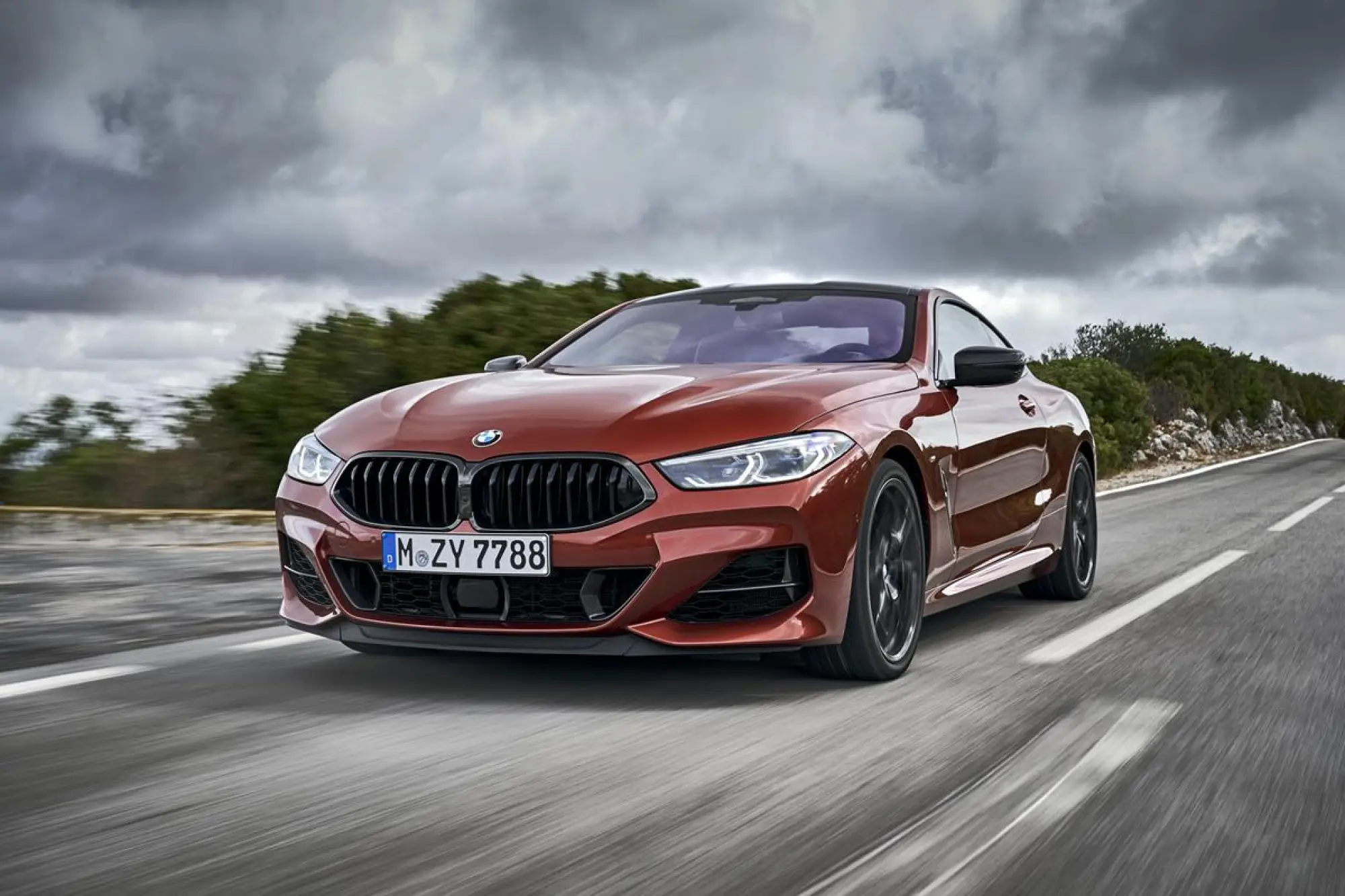 BMW Serie 8 Coupe - Foto ufficiali - 193