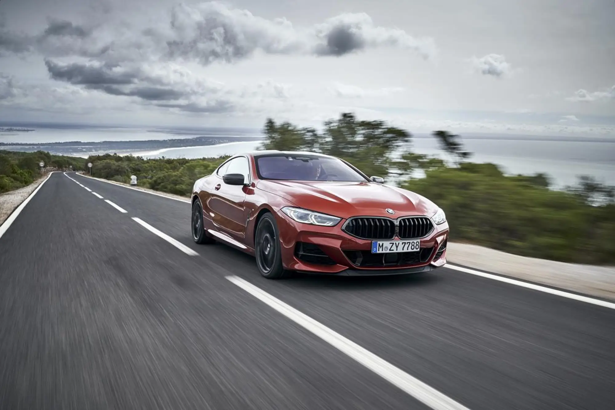 BMW Serie 8 Coupe - Foto ufficiali - 205