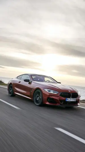 BMW Serie 8 Coupe - Foto ufficiali - 228