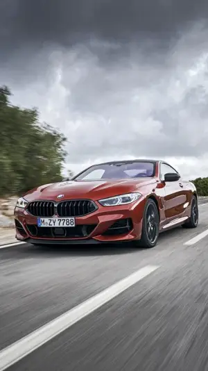 BMW Serie 8 Coupe - Foto ufficiali - 230