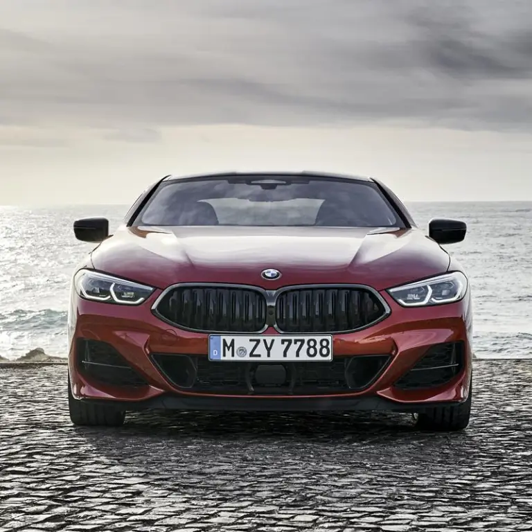 BMW Serie 8 Coupe - Foto ufficiali - 237