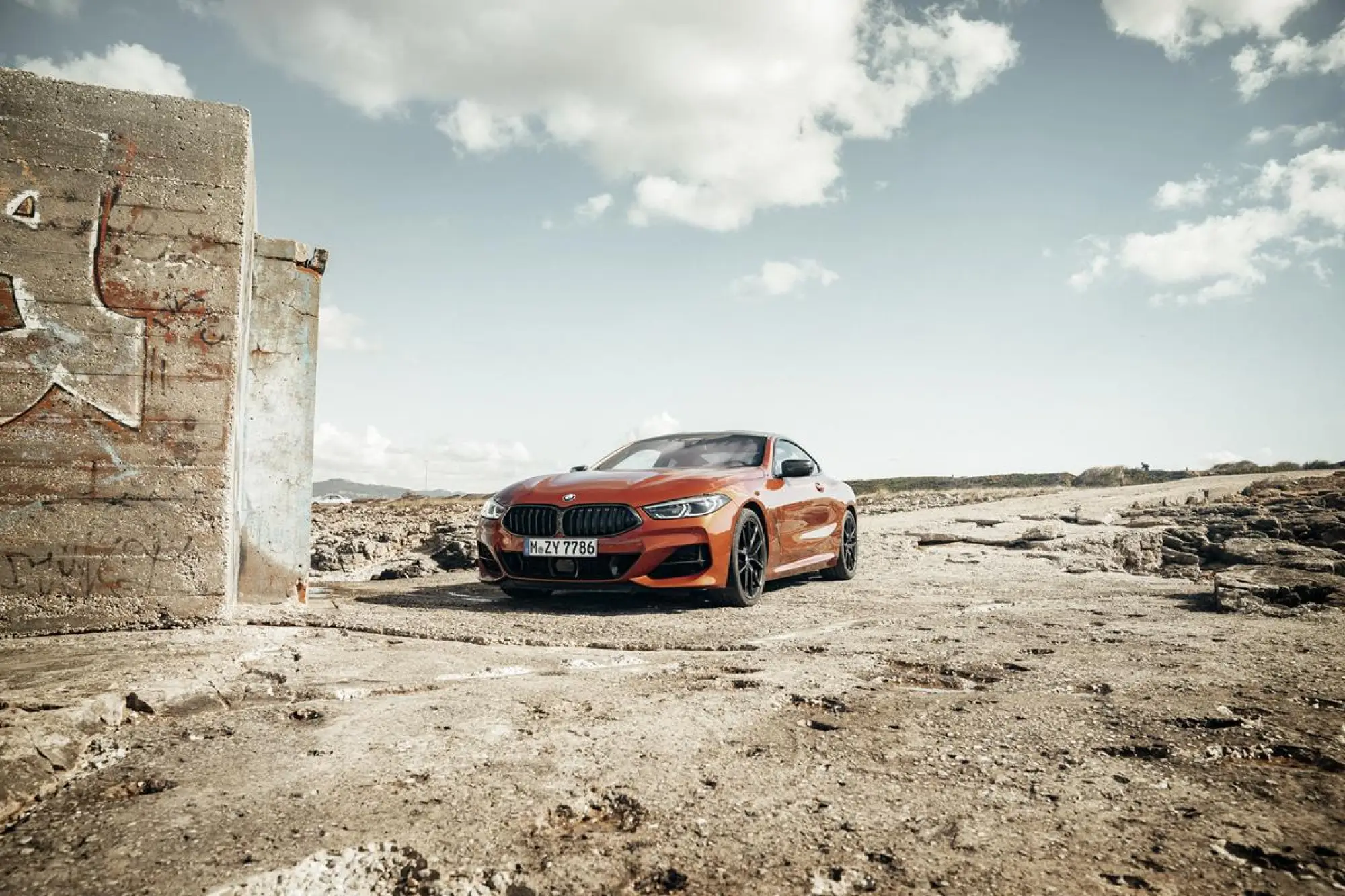 BMW Serie 8 Coupe - Foto ufficiali - 259