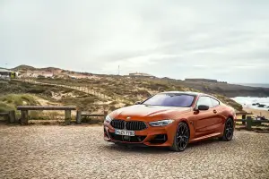 BMW Serie 8 Coupe - Foto ufficiali - 273