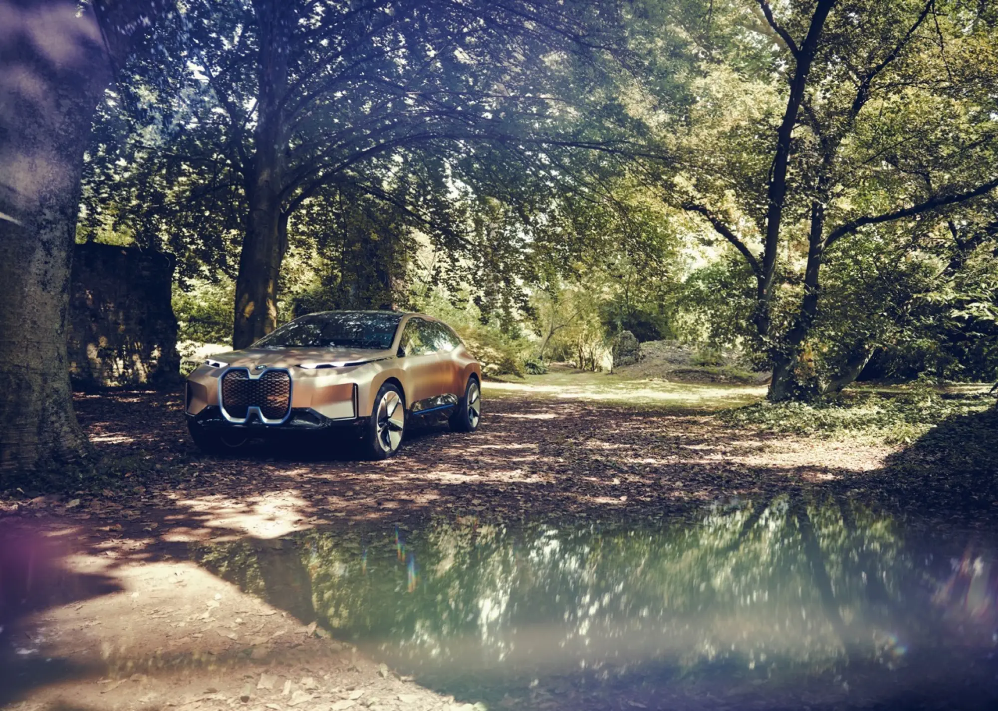 BMW Vision iNext - Foto ufficiali - 9