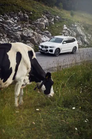 BMW X3 xDrive30e