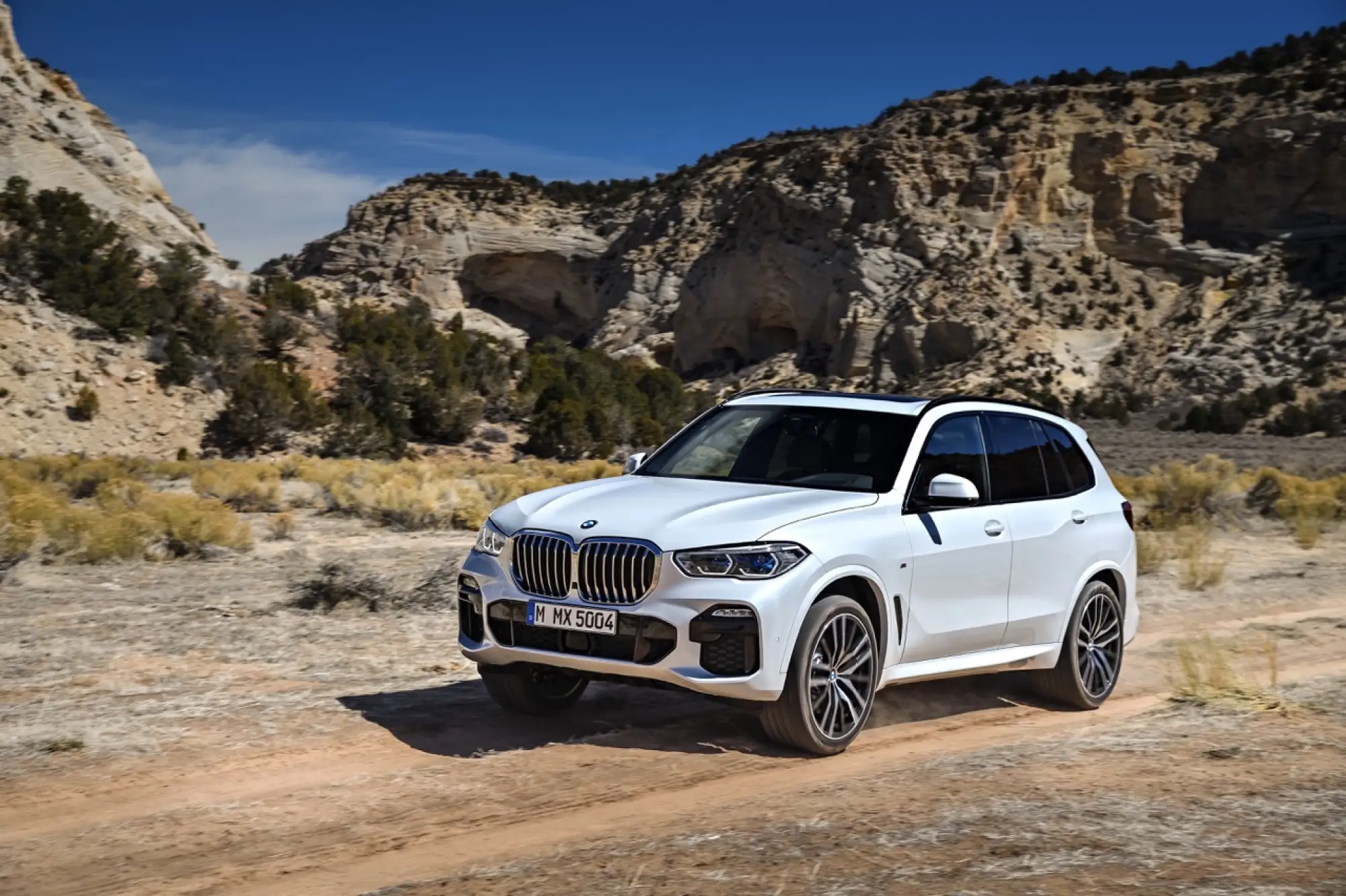 BMW X5 2019 - Foto ufficiali - 14