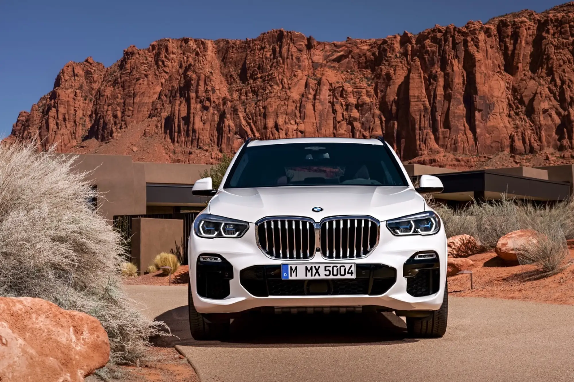 BMW X5 2019 - Foto ufficiali - 26