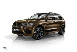 BMW X5 M e X6 M Individual - 1