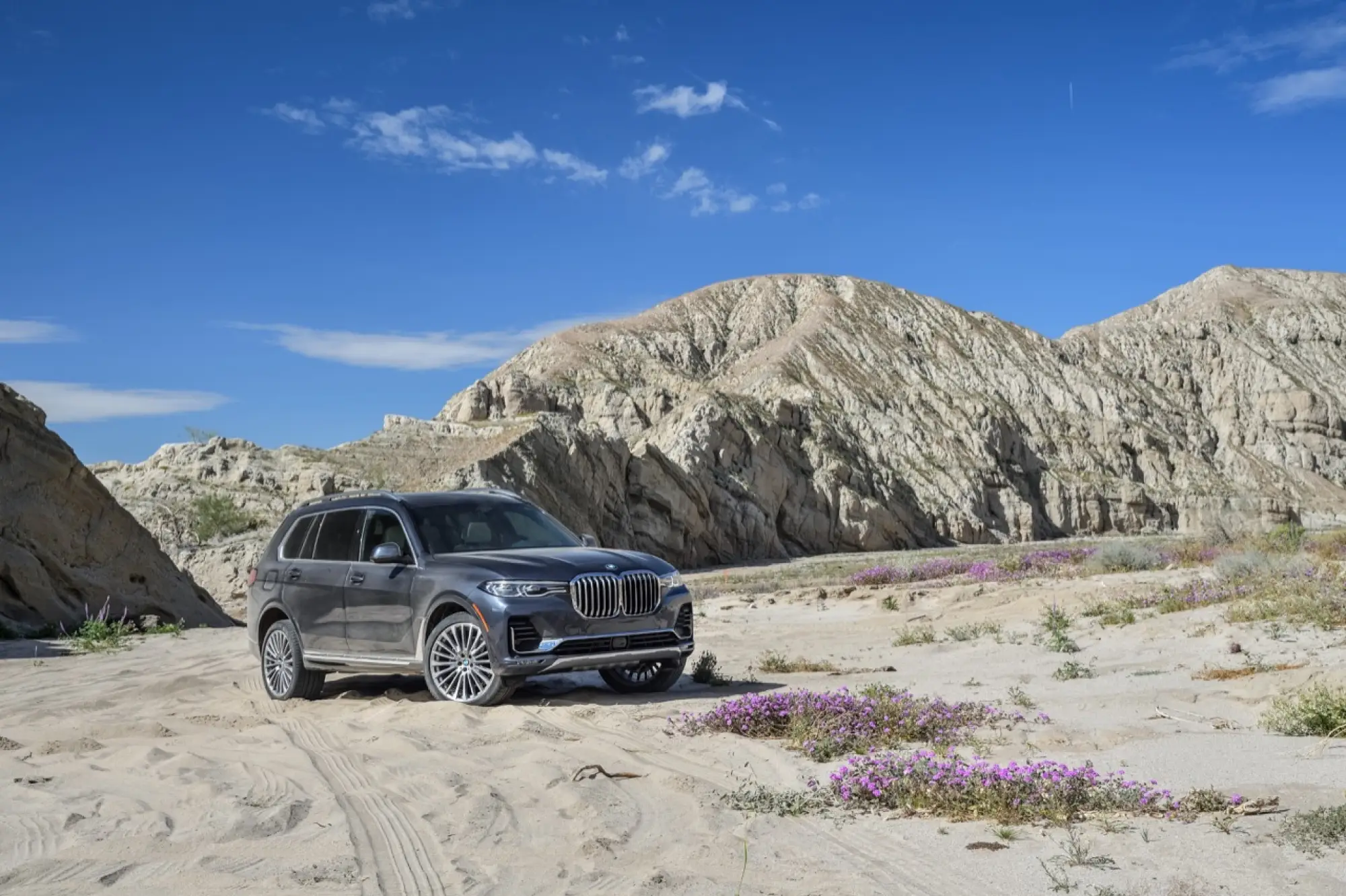 BMW X7 - nuove foto - 196