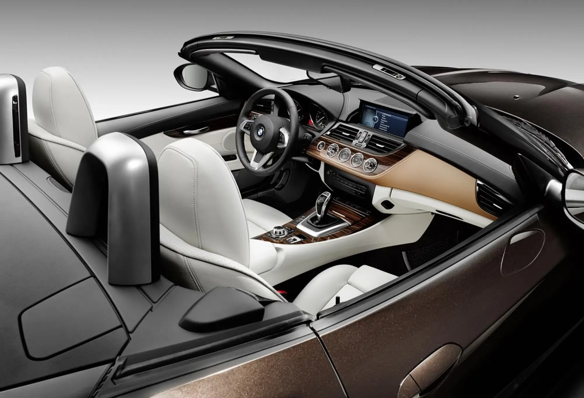 BMW Z4 in Pure Fusion Design  - 1