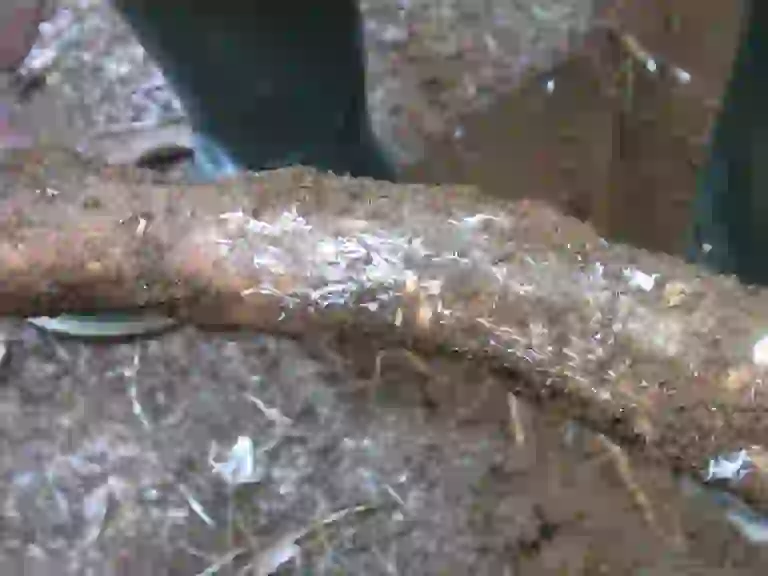 Bridgestone ecosostenibilita - 4