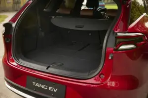 BYD Han, Tang e Atto 3 Europa - Foto - 145