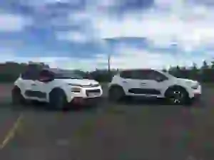 C3 WRC Racing Experience