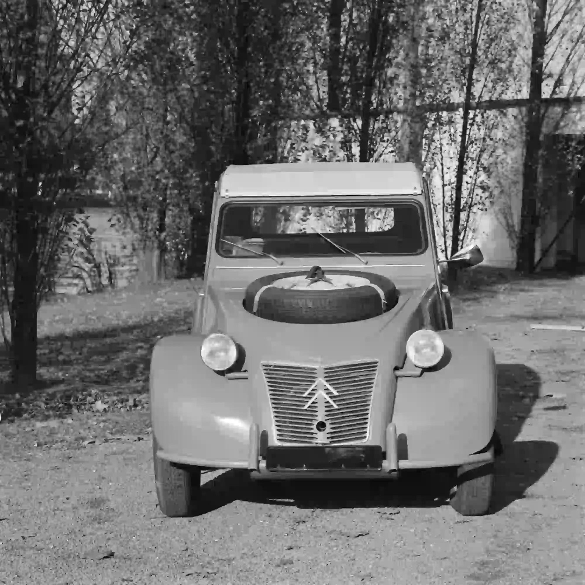 Citroen 2CV Sahara - 5