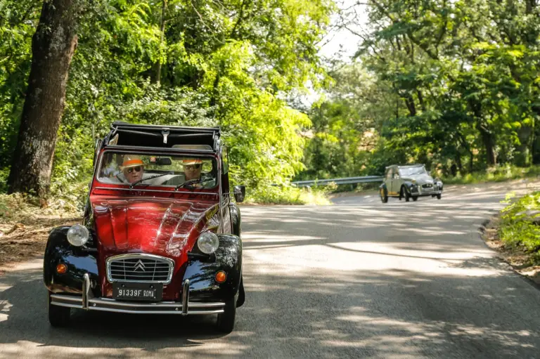 Citroen 2CV - storica da 70 anni - 14