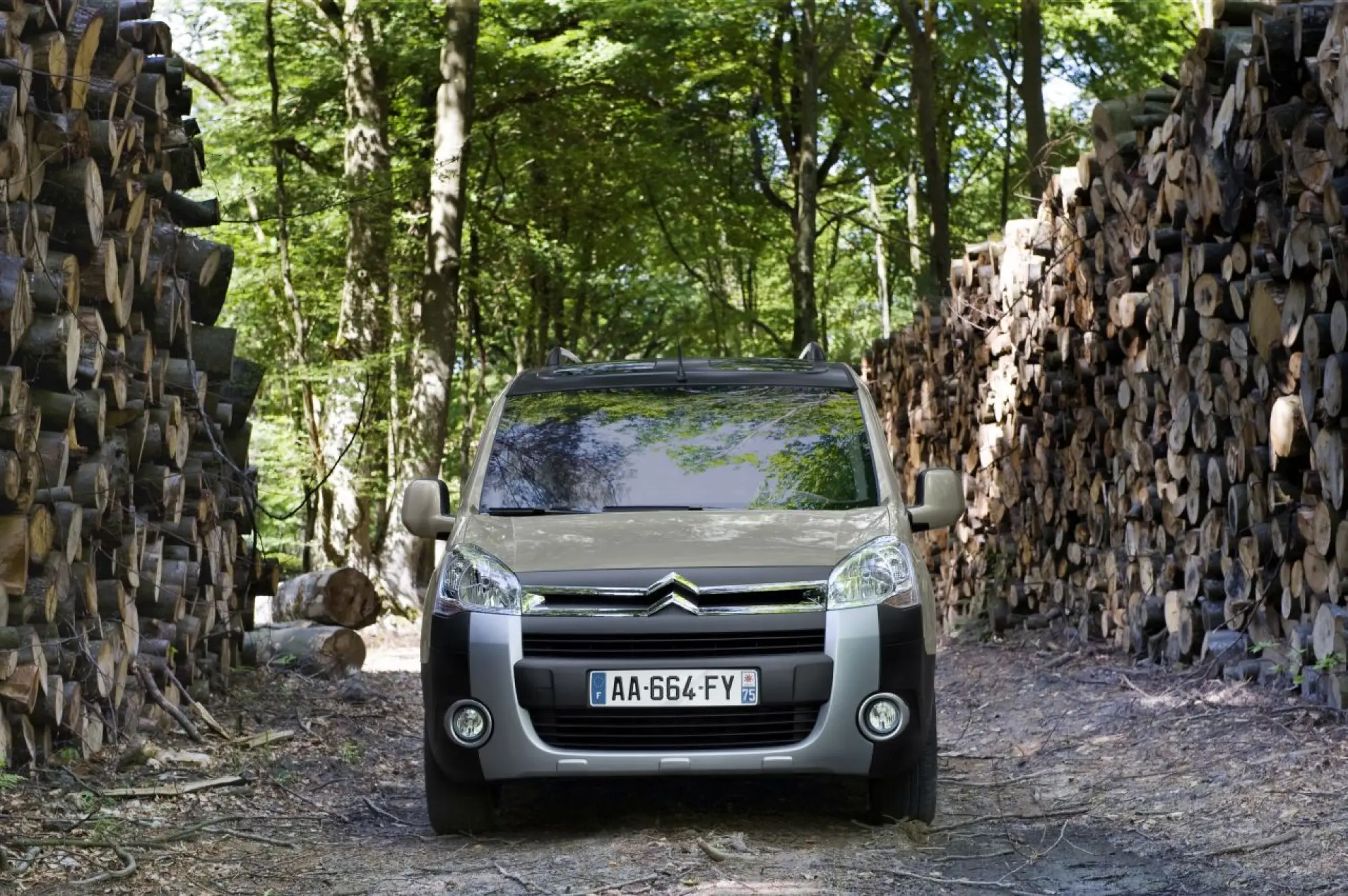 Citroen Berlingo XTR Theatre - 1