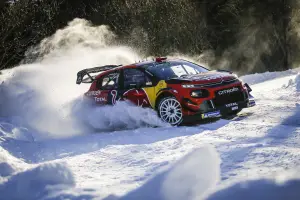 Citroen C3 WRC 2019