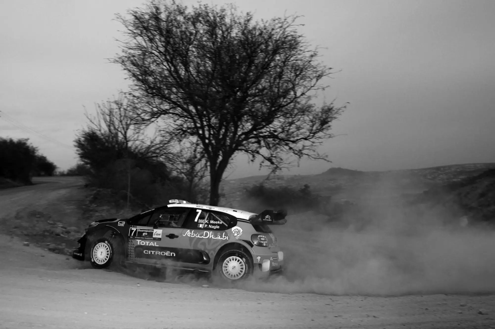 Citroen C3 WRC al Rally del Mexico 2017 - 36