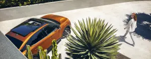 Citroen C4 2020 - Foto Ufficiali