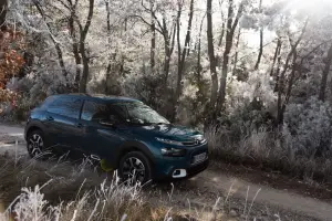 Citroen C4 Cactus 2018 - test drive