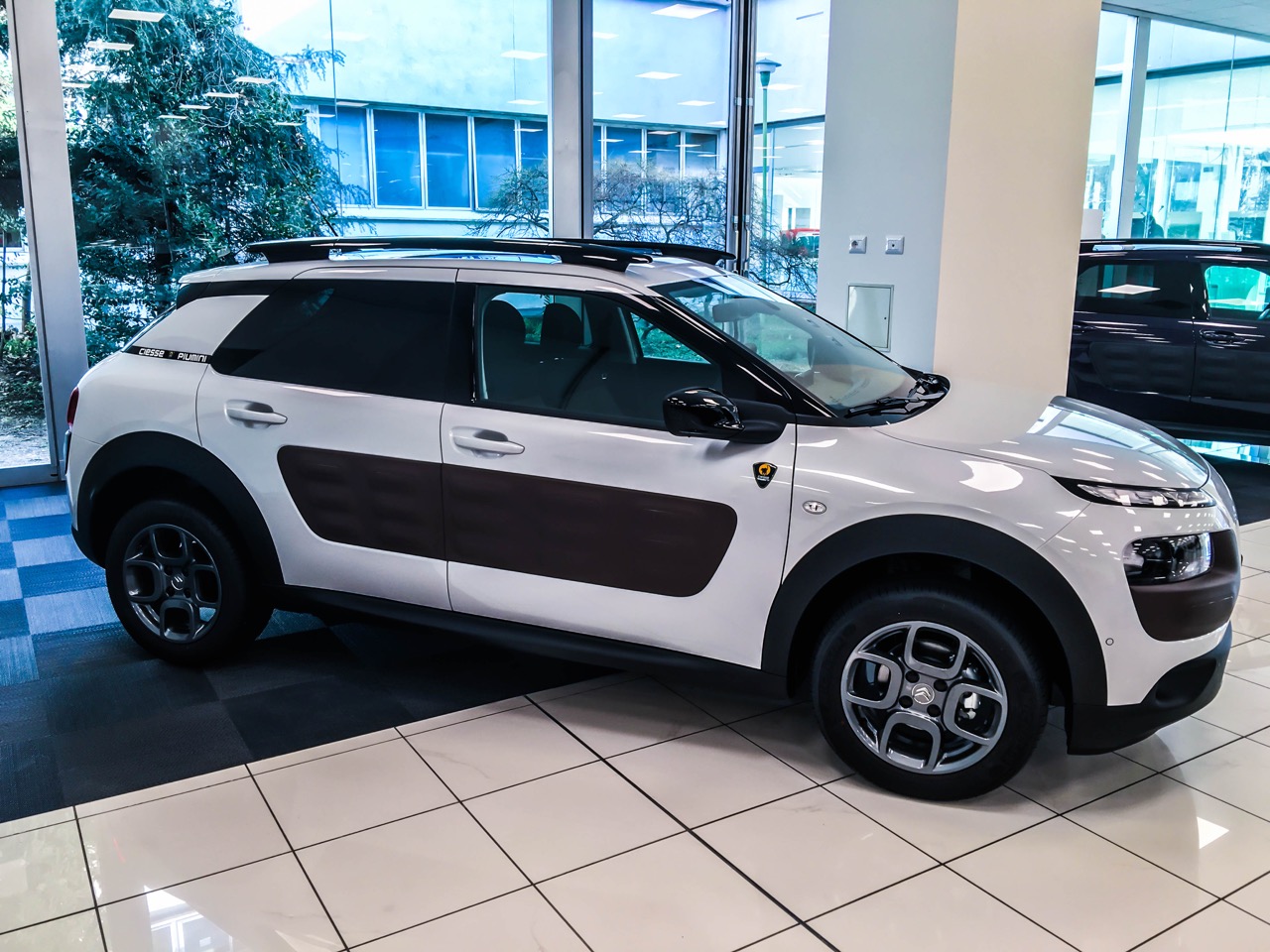 c4 cactus piumini