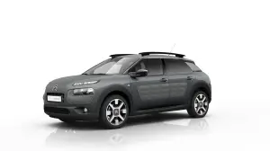 Citroen C4 Cactus OneTone