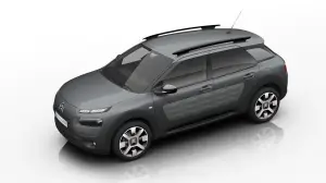 Citroen C4 Cactus OneTone