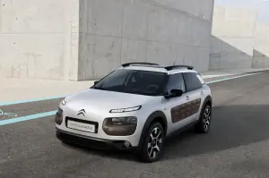 Citroen  C4 Cactus 