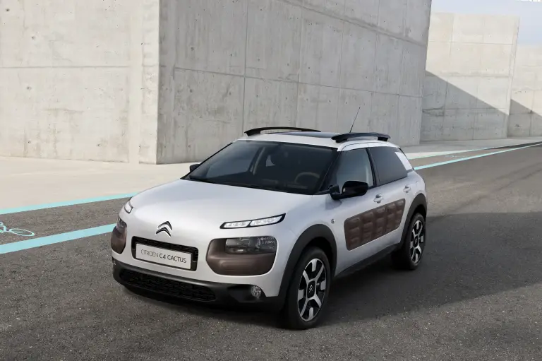 Citroen  C4 Cactus  - 6