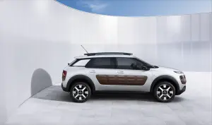 Citroen  C4 Cactus 