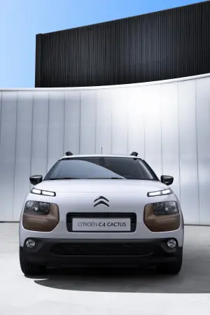 Citroen  C4 Cactus 