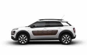 Citroen  C4 Cactus 