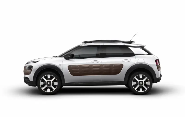 Citroen  C4 Cactus  - 1
