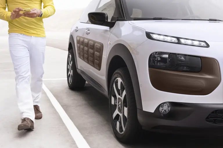 Citroen  C4 Cactus  - 15