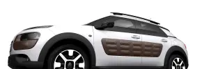 Citroen  C4 Cactus 