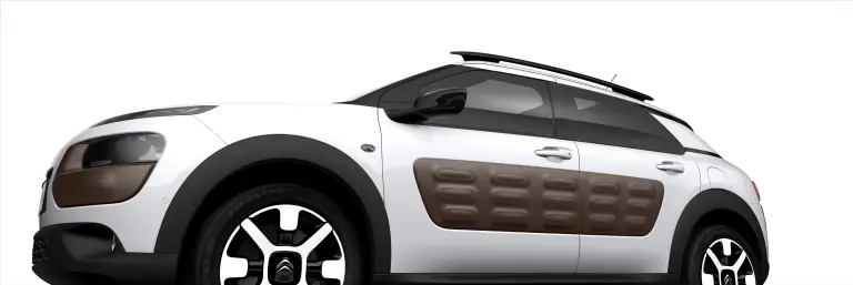 Citroen  C4 Cactus  - 22