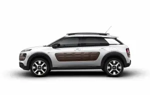 Citroen  C4 Cactus 