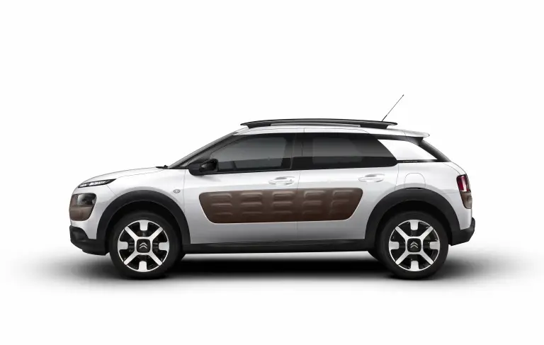 Citroen  C4 Cactus  - 12