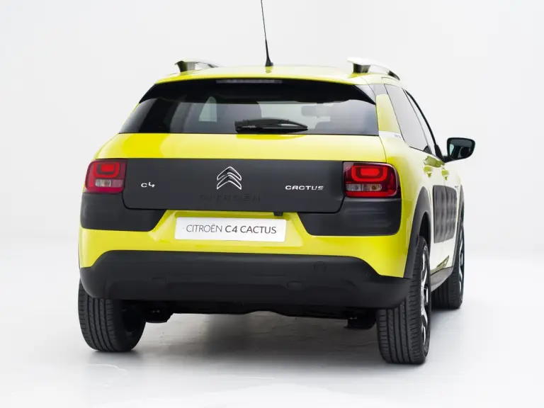 Citroen  C4 Cactus  - 29