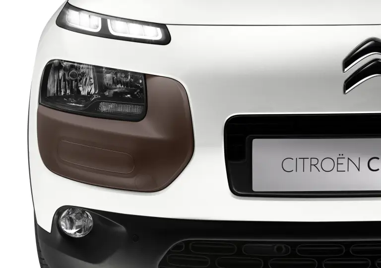 Citroen  C4 Cactus  - 31