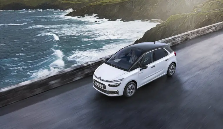 Citroen C4 Picasso Rip Curl e C4 Grand Picasso Rip Curl - 11