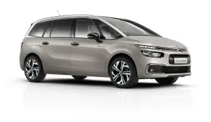 Citroen C4 Picasso Rip Curl e C4 Grand Picasso Rip Curl