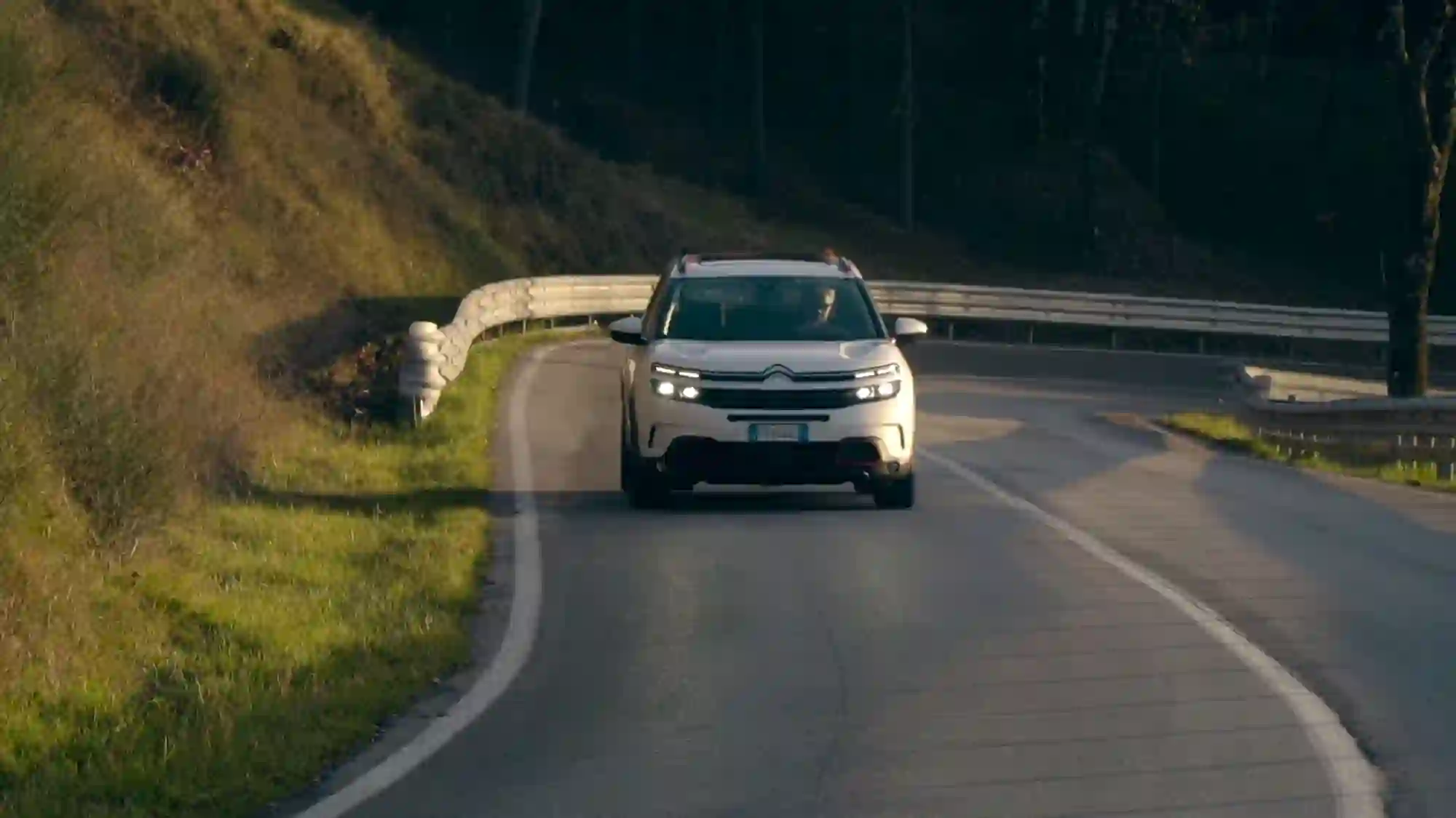 Citroen C5 Aircross Umbria - 9