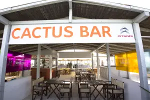 Citroen Cactus Bar