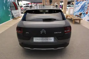 Citroen Cactus Rip Curl - Salone di Ginevra 2016 