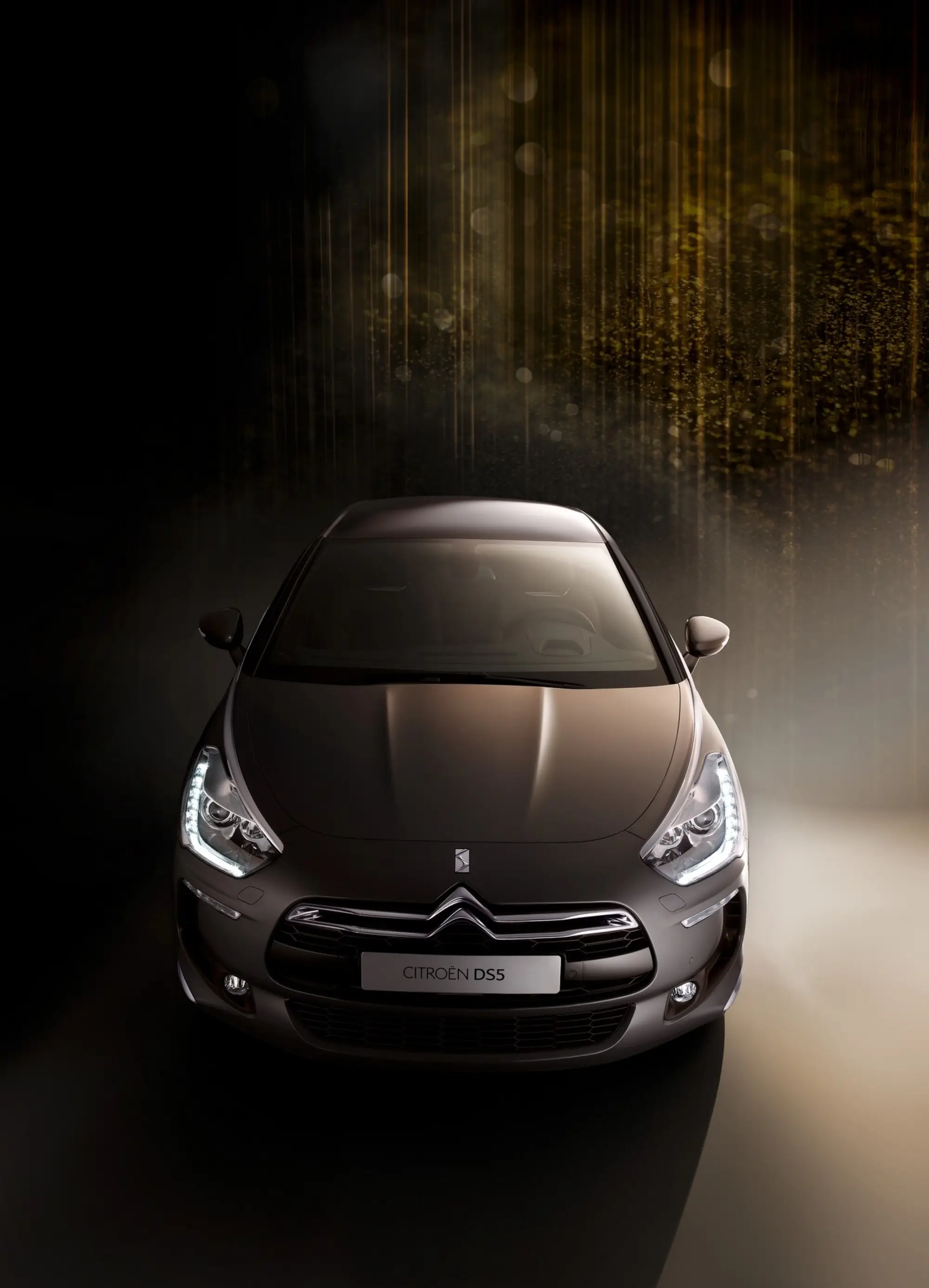 Citroen DS5 - 1