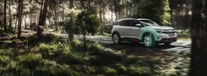 Citroen - evoluzione delle sospensioni  - 13