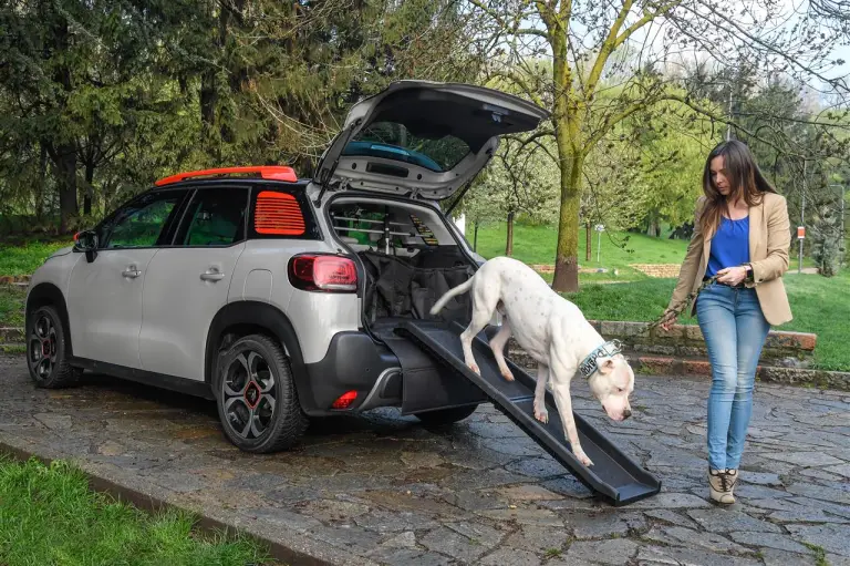 Citroen - Pet a Porter - 1