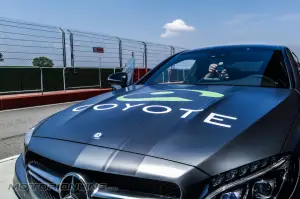 Coyote e Mercedes AMG sul Circuito Tazio Nuvolari